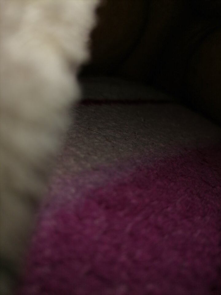 16906665047152401817425490142164.jpg - Edwarda18