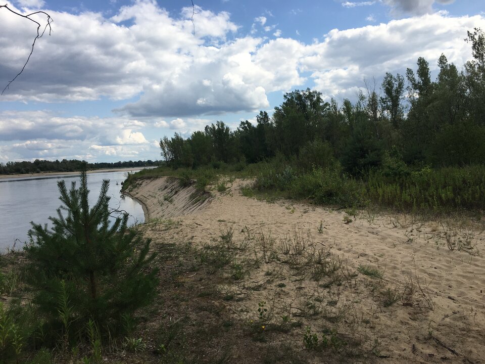 Plaża.jpeg - alhimee