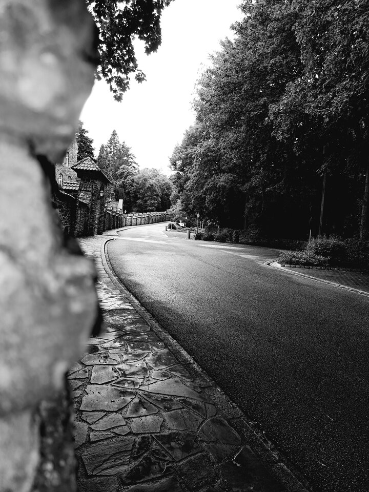 20230729_124734.jpg - gregor8014