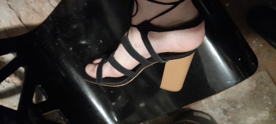 20230628_193255.jpg - Tygrys4040