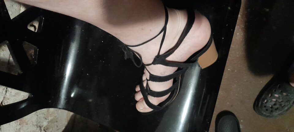 20230628_193230.jpg - Tygrys4040