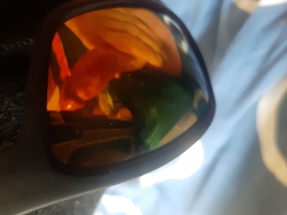 16907160999261983961968236492820.jpg - NicponieFest