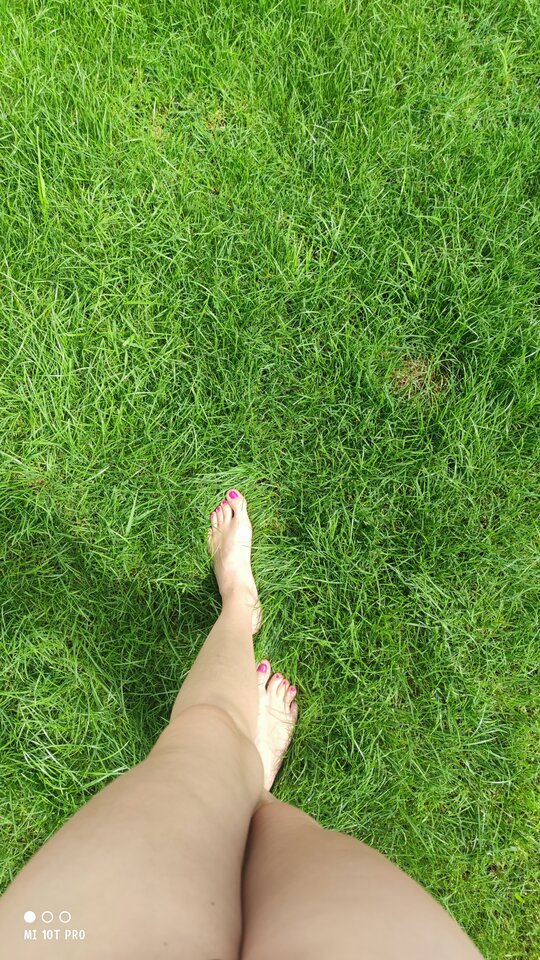 IMG_20230730_121332.jpg - zabcia_zo