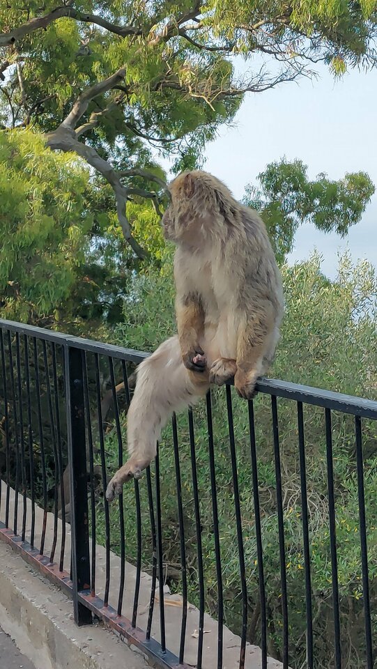 20230628_102833.jpg - Andres127