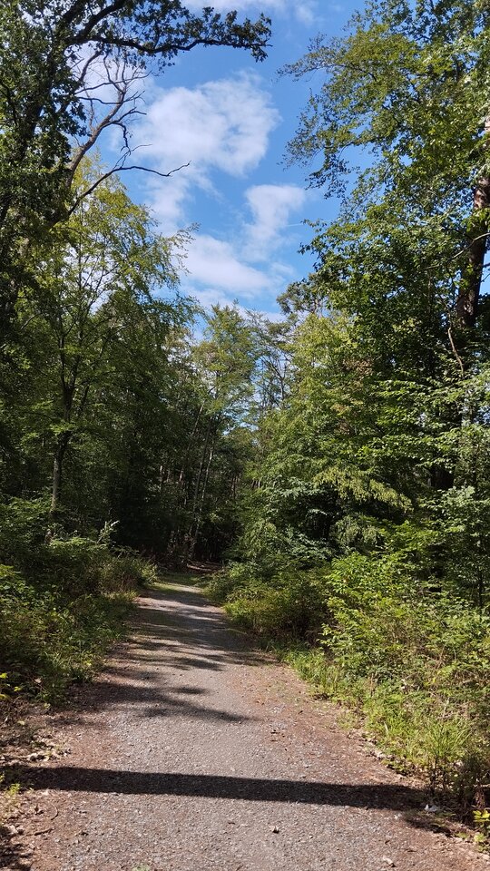 IMG_20230730_160609.jpg - focus25