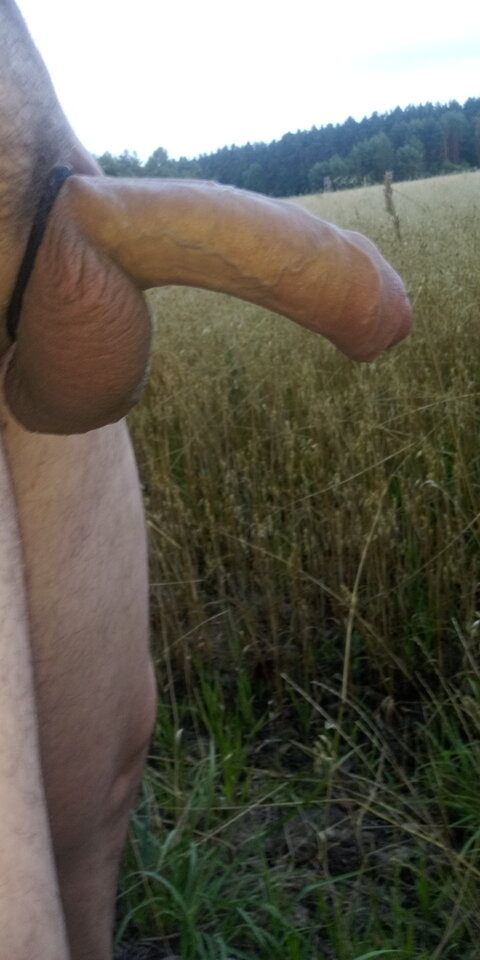 20230730_201110.jpg - panzers19