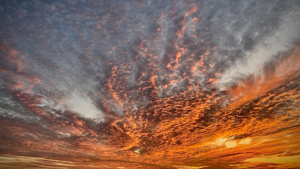 Tlo.jpg - OnMisiek_82