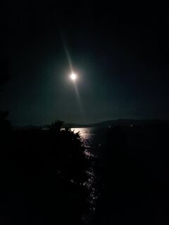 IMG_20230730_223919.jpg