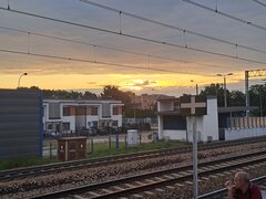 20230731_051939.jpg