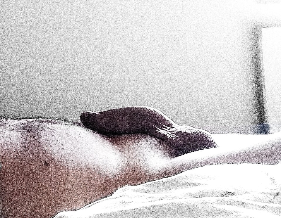 Polish_20230731_060747293.jpg - babracz