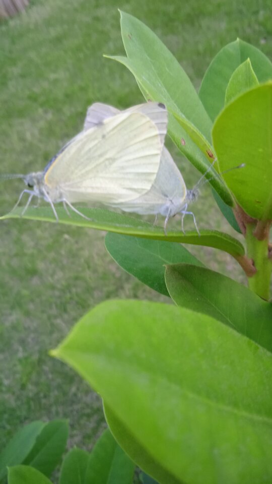 Love Is in the Air - FajnaParaTriCity