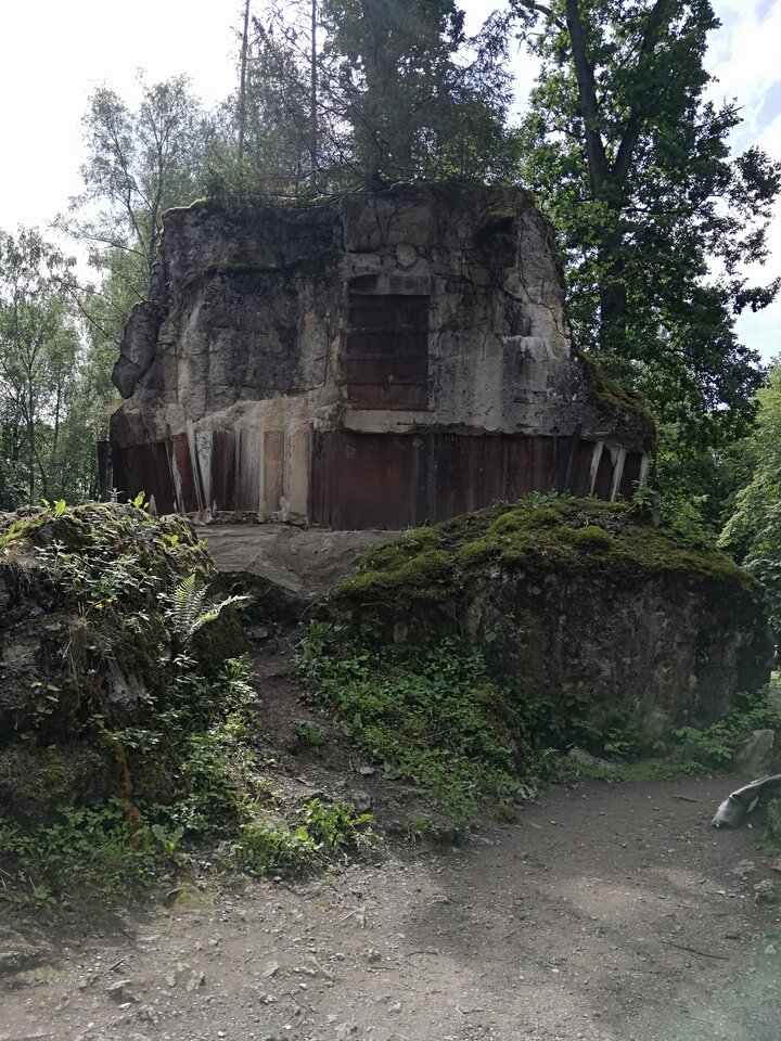 IMG_20230730_113111.jpg - Gimlii73