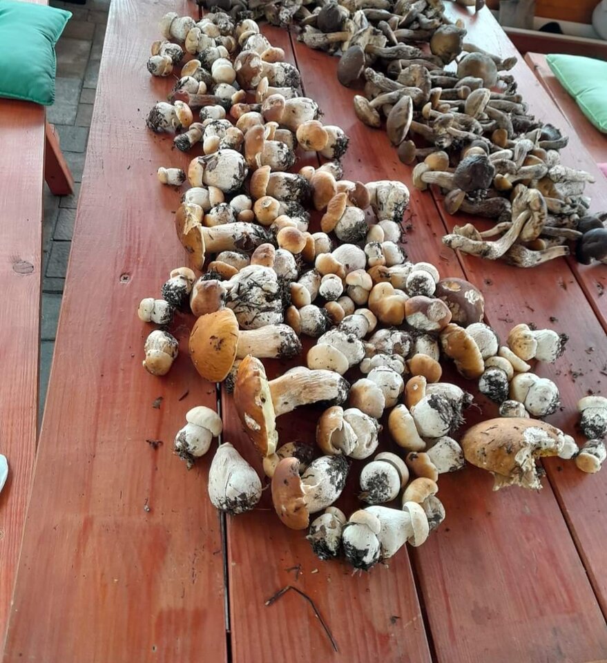 Screenshot_20230731_045512_Facebook.jpg - reserva1