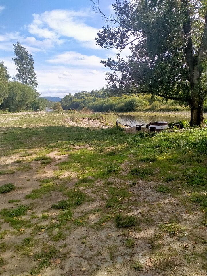 1690813426992492670222723819105.jpg - maniana35