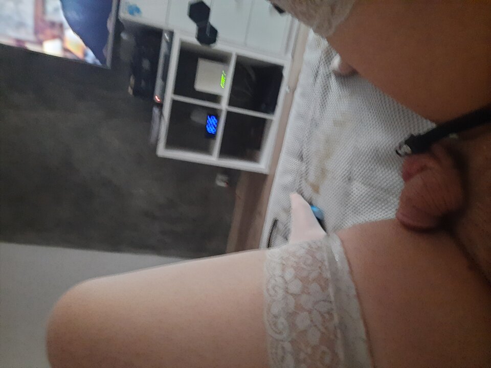 16908213986718423777010801152375.jpg - Nellytrans