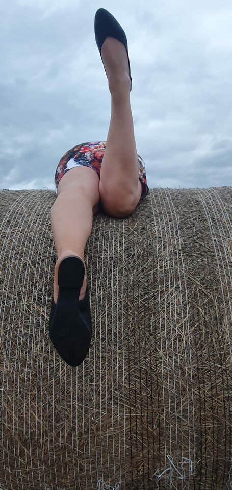 IMG-20230731-WA0000.jpg - dorjan6na9