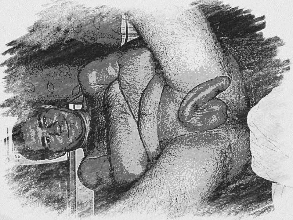 3DSketchMaker_1664916098050.jpg - baracuda