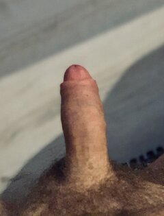 IMG_4692.jpeg
