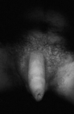 IMG_4691.jpeg