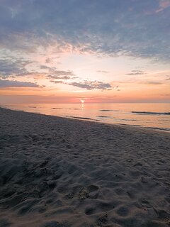 IMG_20230729_205717.jpg