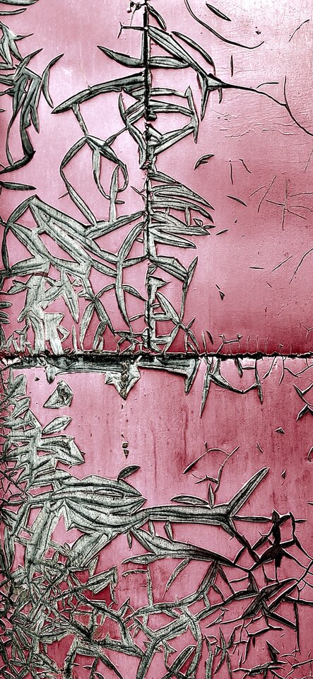 20230731_080434.jpg - Argument73