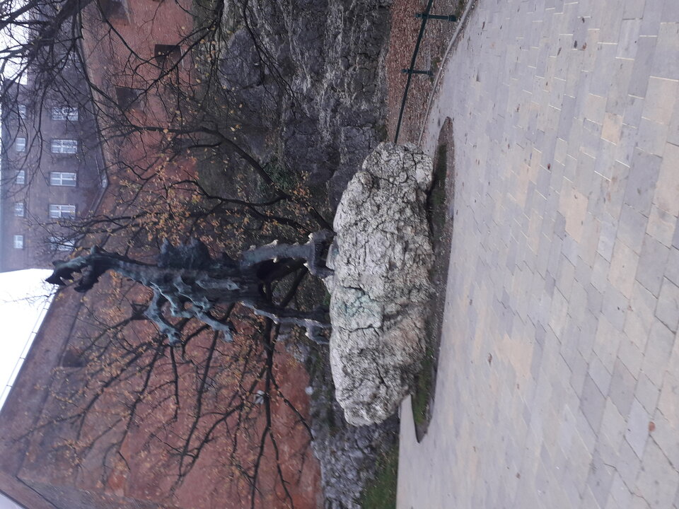 20221114_084815.jpg - borne1234