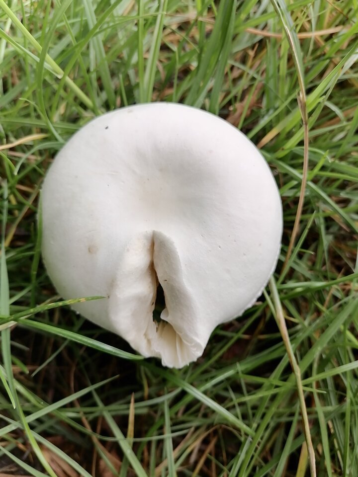 IMG_20230801_142857.jpg - wswoimczasie