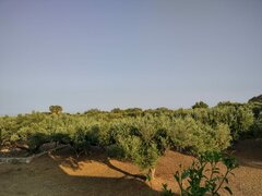 Immagine WhatsApp 2023-07-13 ore 19.52.57.jpg