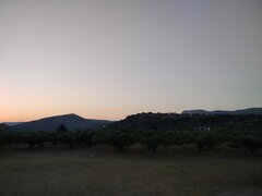 Immagine WhatsApp 2023-07-13 ore 19.52.55.jpg