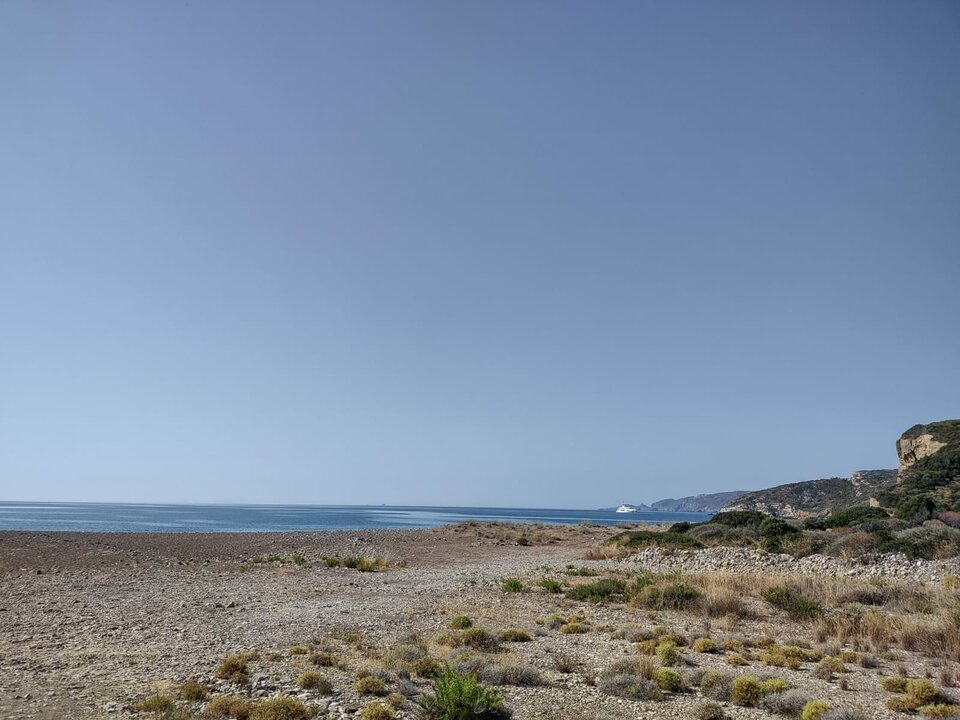 Immagine WhatsApp 2023-07-14 ore 11.39.36.jpg - Vaffa