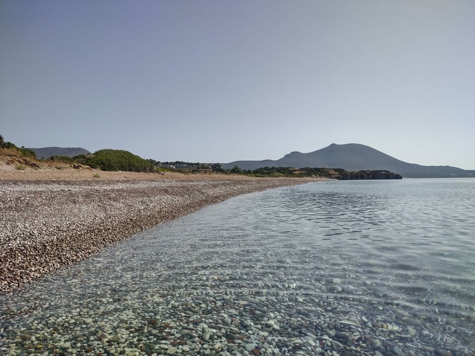 Immagine WhatsApp 2023-07-14 ore 11.39.32.jpg - Vaffa