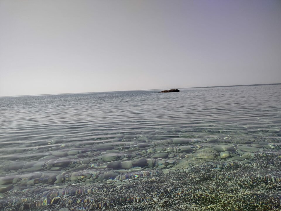 Immagine WhatsApp 2023-07-14 ore 11.39.34.jpg - Vaffa