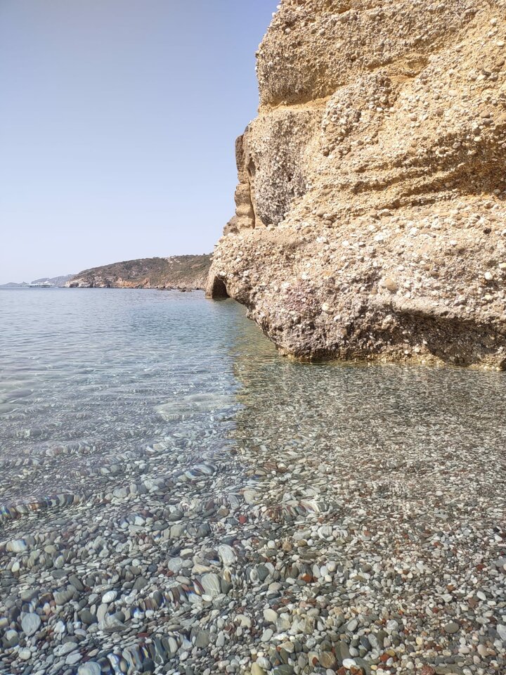 Immagine WhatsApp 2023-07-14 ore 11.39.35.jpg - Vaffa