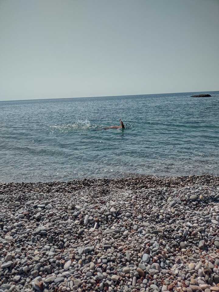 Immagine WhatsApp 2023-07-21 ore 13.45.01.jpg - Vaffa