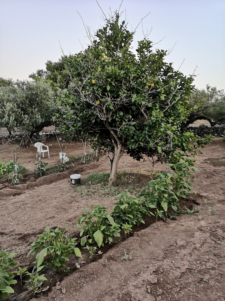 IMG_20230721_204321.jpg - Vaffa