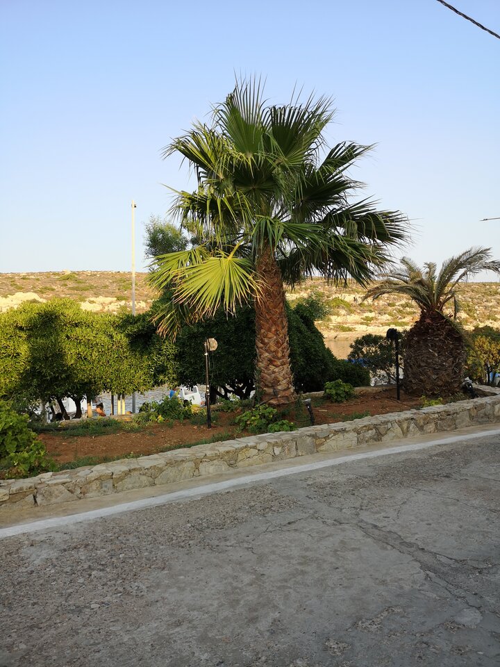 IMG_20230725_193836.jpg - Vaffa