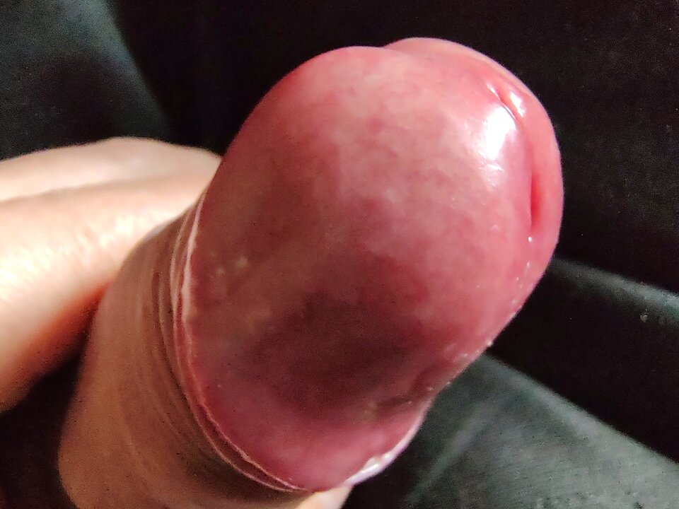 1690984521879996867532384565861.jpg - Fiutkutaschujjaja