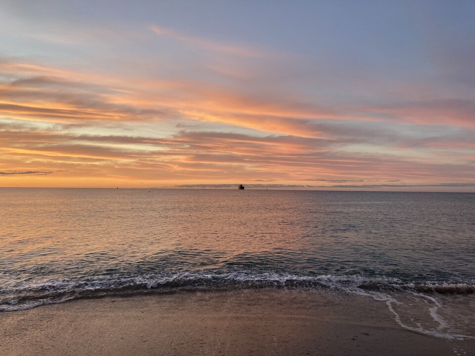 3A4ED2D4-E293-402F-933F-CE454265B840.jpeg - Wicki74