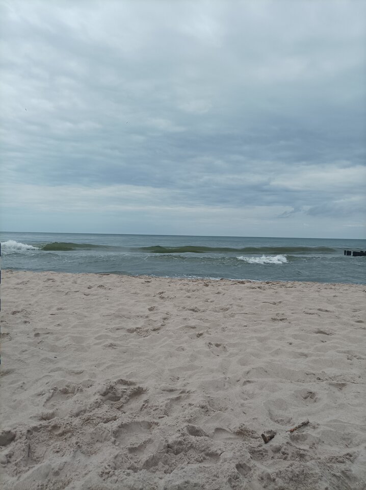 IMG_20230802_153239.jpg - janwisnia90