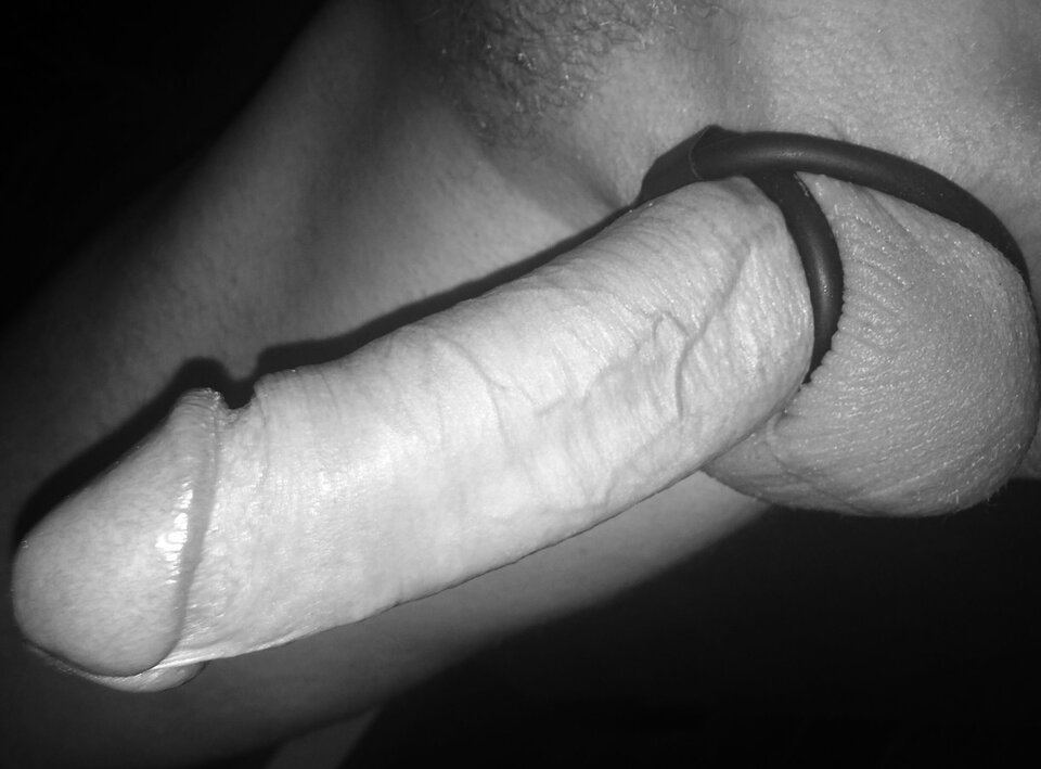 IMG_2732.jpeg - TwardyHary69