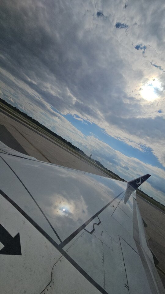 Fly away.... - UpadlyAniolBi