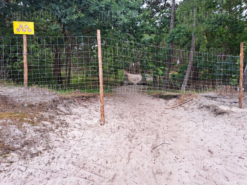 20230802_165841.jpg - malgos1972