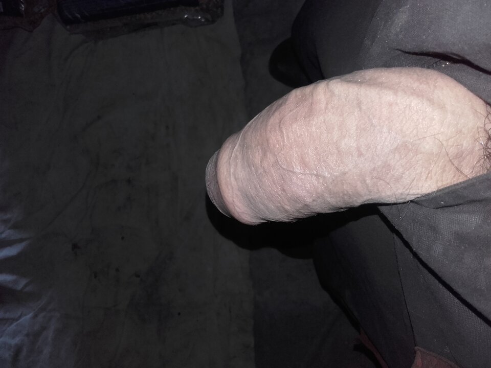 16910628555031578719339.jpg - pawelpawel50