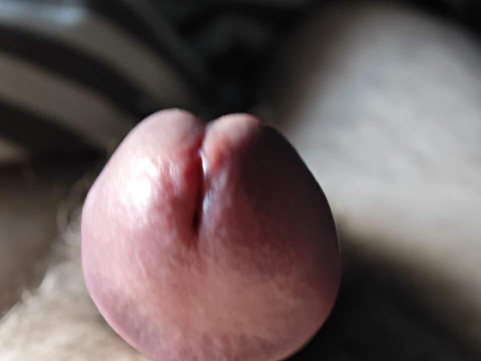 IMG_20230803_151955.jpg - cinek994