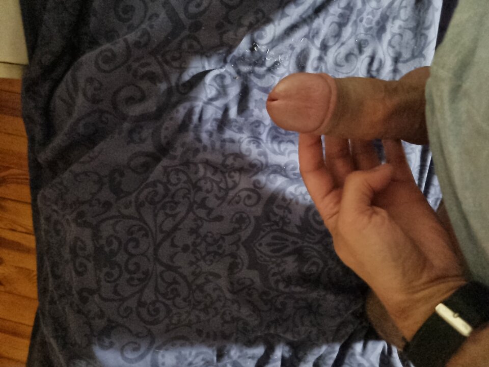 1691089611750835055694834314512.jpg - Adam3134