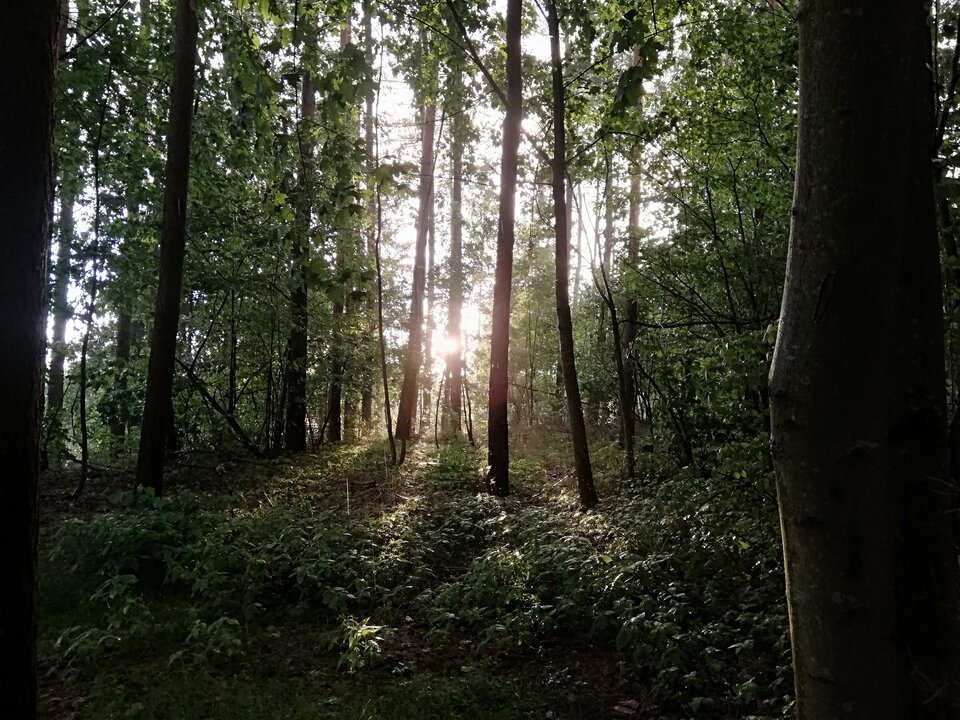 IMG_20230803_195156.jpg - Gimlii73