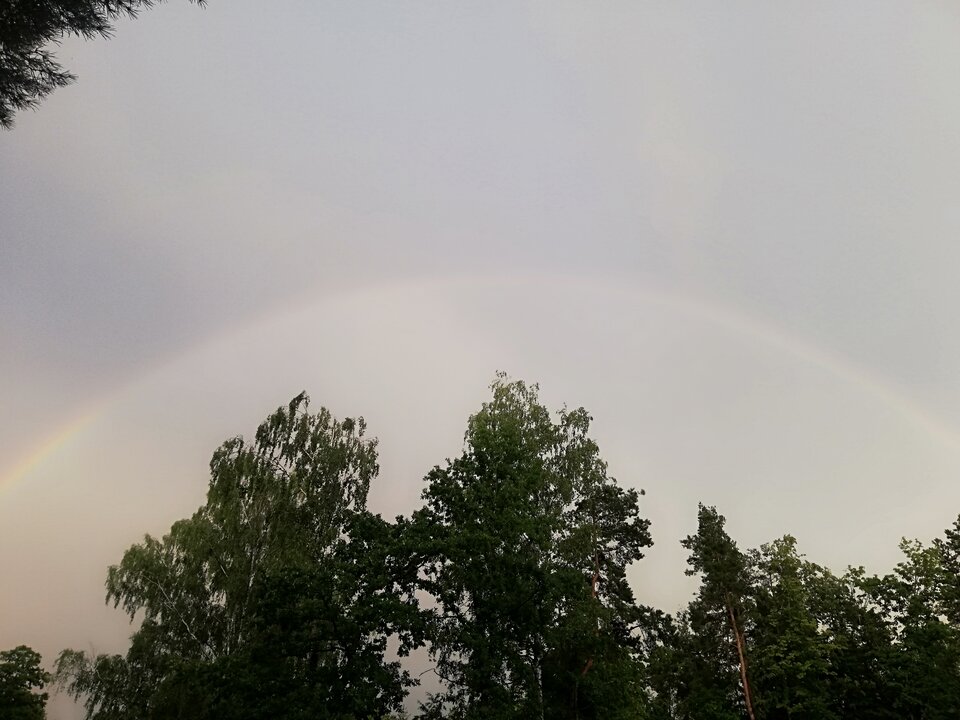 IMG_20230803_195950.jpg - Gimlii73