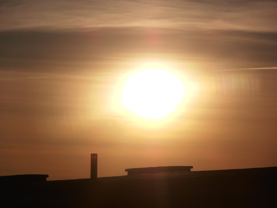 P7080029.JPG - Zorro8