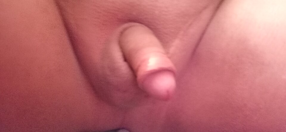 16911227517498265891553127854898.jpg - Misiek78Zs