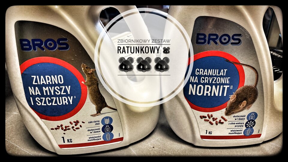 IMG_2323.jpeg - serialowapara19782